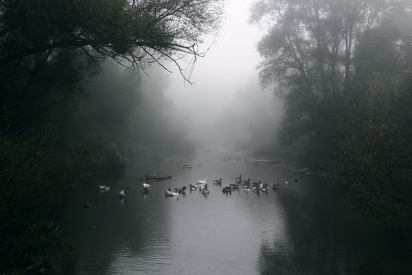 WINDEMOS Marketing Team